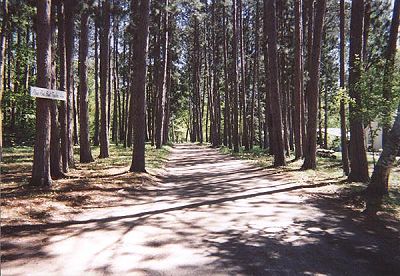 Campsites at Evergreen Lodge on Woman Lake Longville Minnesota