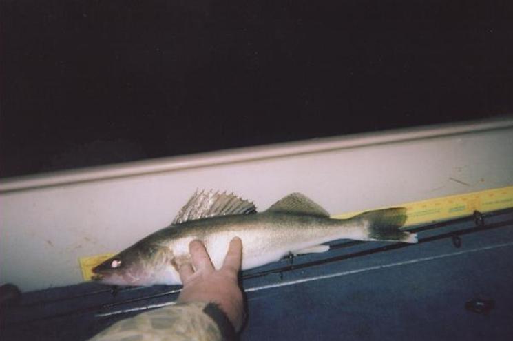 Fishing on Woman Lake at Evergreen Lodge Longville Minnesota