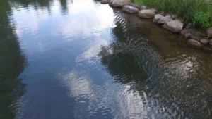 Drone Picture of Evergreen Lodge on Woman Lake Longville Minnesota