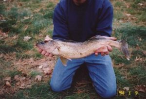Fishing on Woman Lake at Evergreen Lodge Longville Minnesota
