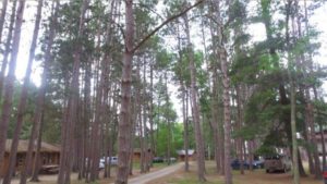 Drone Picture of Evergreen Lodge on Woman Lake Longville Minnesota